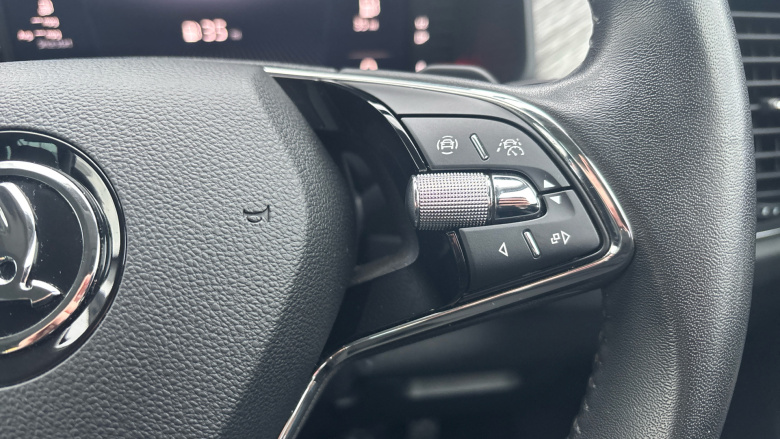 Skoda Kodiaq 1.5 TSI SE L Executive 5dr DSG [7 Seat] Petrol Estate